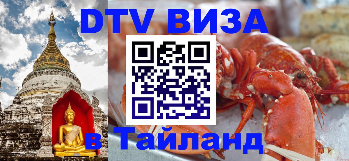 Оформление DTV визы под ключ: стоимость и тарифы, только загранпаспорт - 21.11.2025 